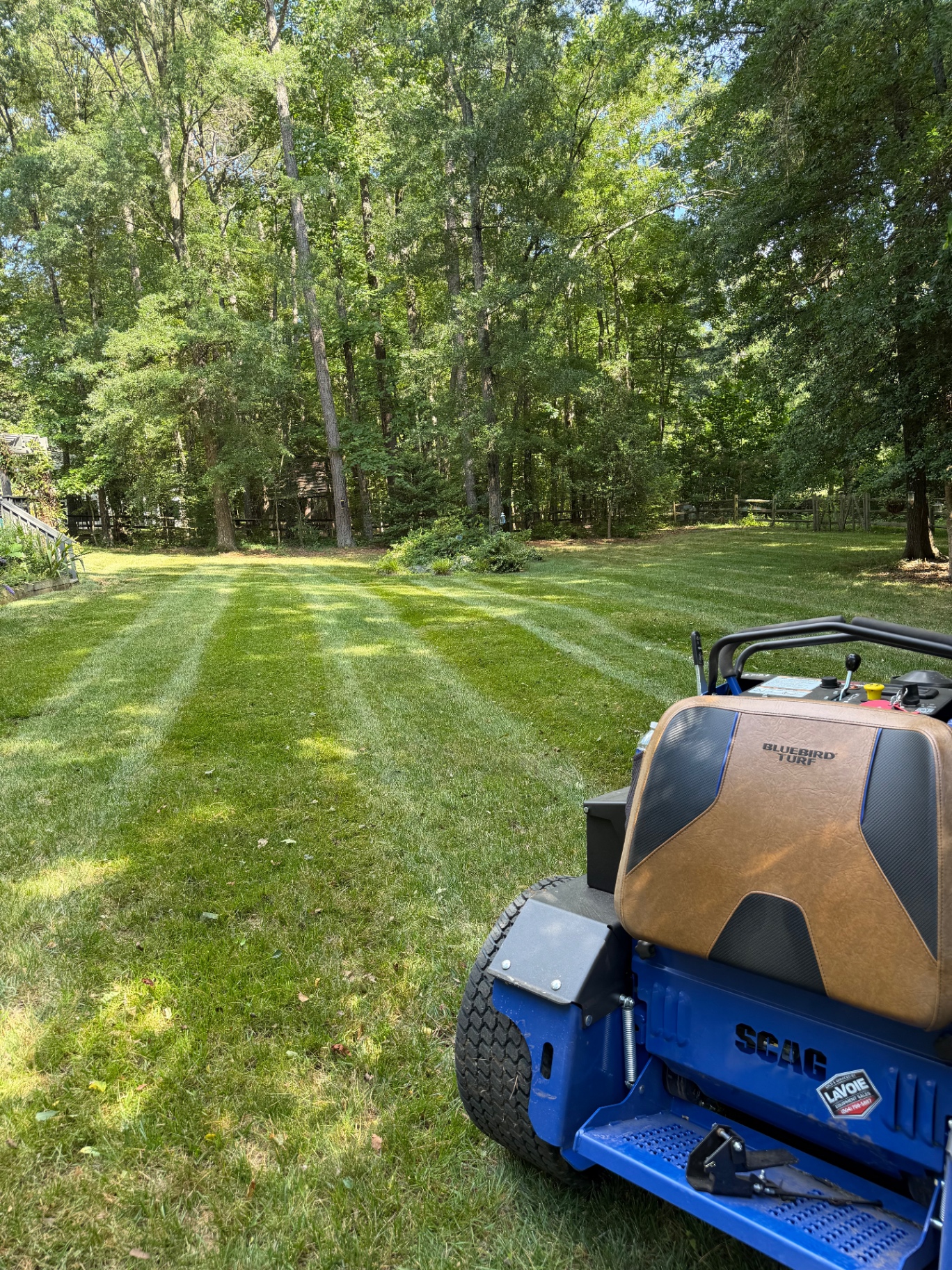 Crisp mower stripes across a shaded backyard lawn